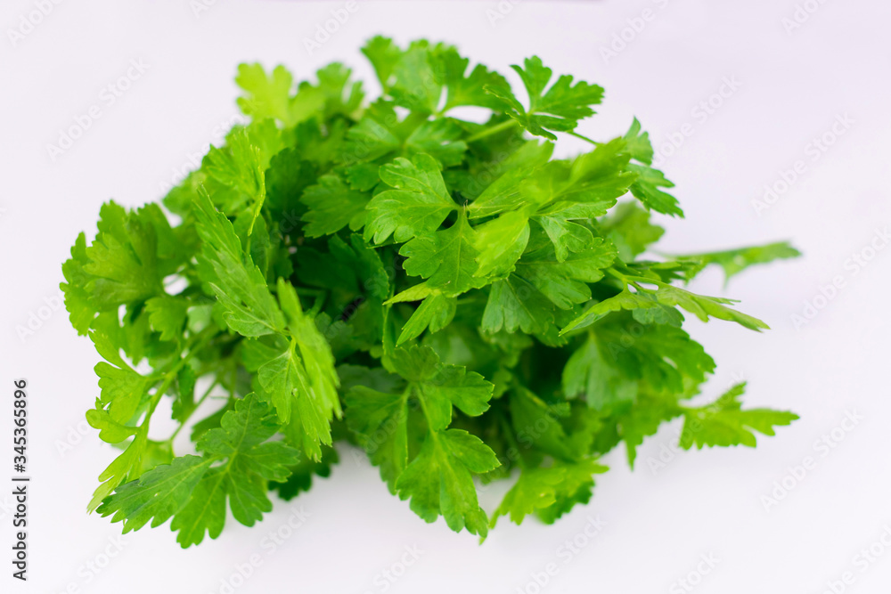 Fresh parsley isolated on a white background.
Close-up.
Fresh parsley isolated on a white background.
Close-up.