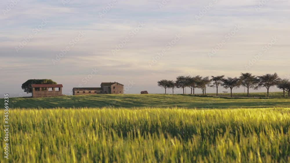 Isolate farmhouse in a green field at sunset Isolate farmhouse in a green field at sunset