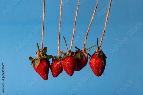 pendulum from berries of red strawberries on a blue background