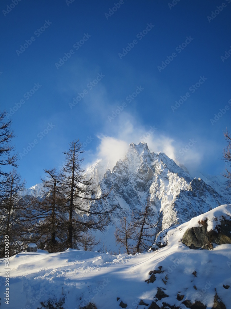 Fototapeta premium Monte Bianco