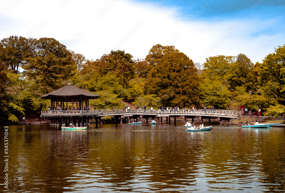 Obraz premium Nara natural park in Japan