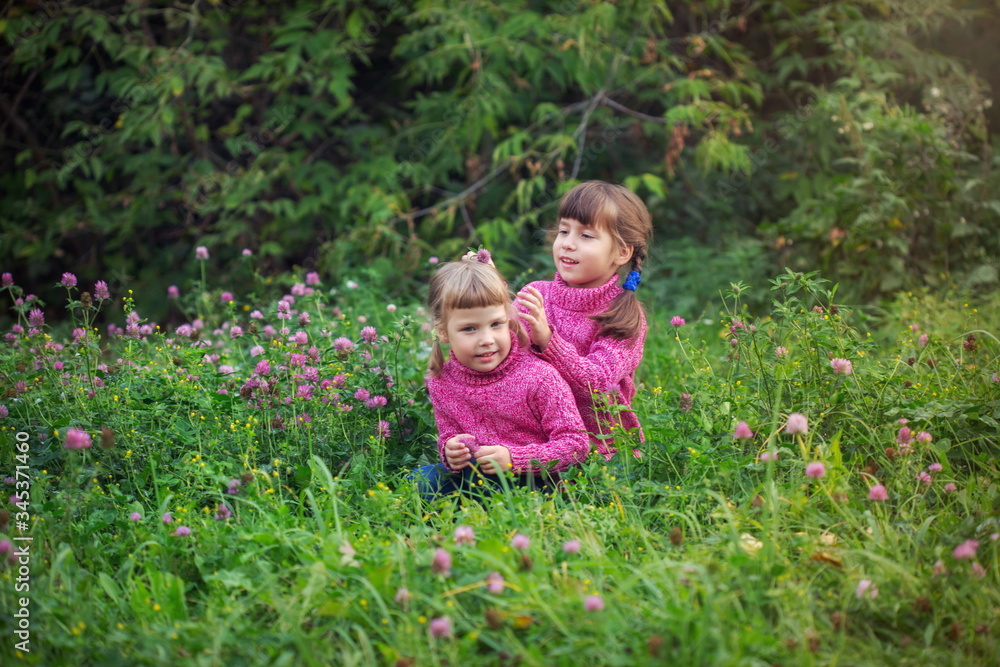 Girls enjoy clover in a green meadow