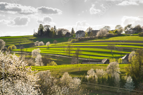 Beautiful spring view to the fields and meadows. Blooming cherries. Slovakia nature. Hrinova, Europe. 