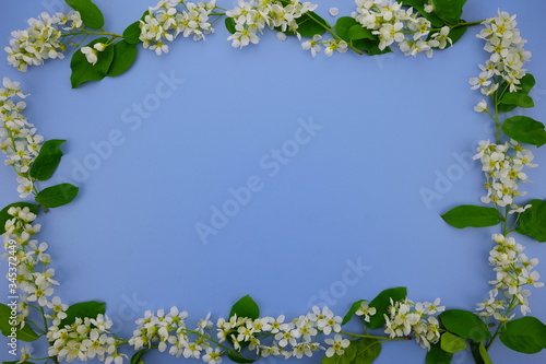Wallpaper Mural Frame of white flowers on a blue background. Birthday, Mother's Day, Women's Day concept. Top view, copy space, flat lay. Torontodigital.ca