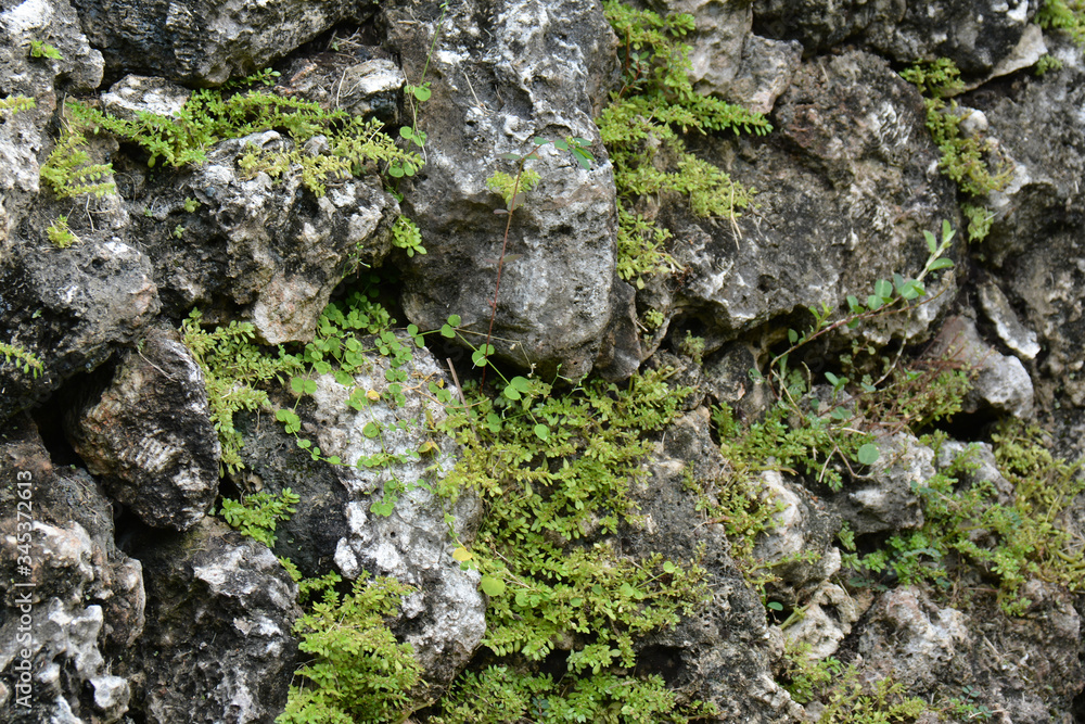 uneven grey cracked rocks, with moss and grass