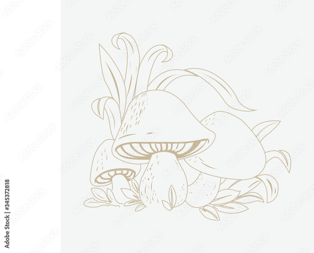 Fototapeta premium vector illustration of a mushroom