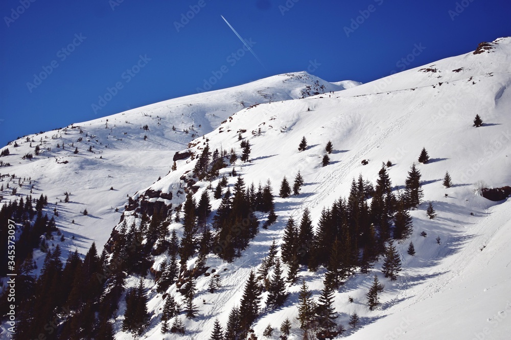 winter landscape mountains with frozen forest and snow on trees in sunny day