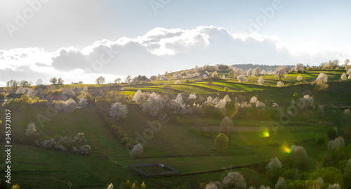 Beautiful spring view to the fields and meadows. Blooming cherries. Slovakia nature. Hrinova, Europe.  photo