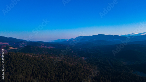 Carpathian mountains landscape pine forest needles aerial photography. © Андрей Трубицын