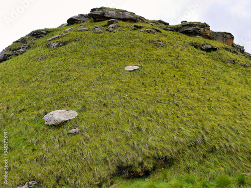 ukhahlamba-drakensberg park - South Africa photo