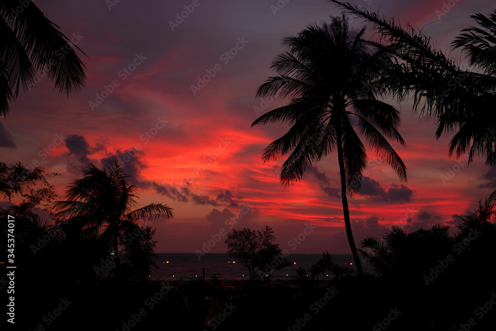 Egzotyczny krajobraz, zachód słońca i palmy