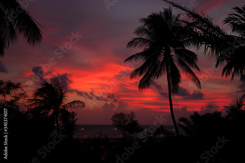 Egzotyczny krajobraz, zachód słońca i palmy