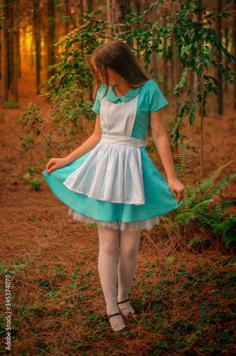 Canvas Print Alicia al caer la tarde