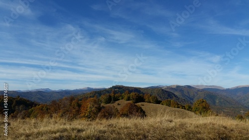 autumn mountains landscape on sunny day with colorfully forest meadow and trees