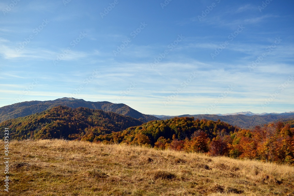 autumn mountains landscape on sunny day with colorfully forest meadow and trees