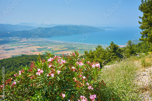 Romantic travel destination. Spring flowers on Kalymnos Island, Greece