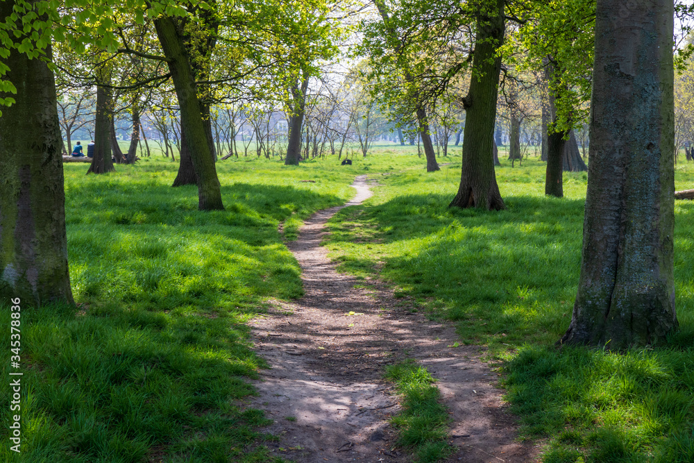 path in the park path in the park