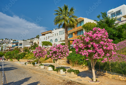 Fototapeta Naklejka Na Ścianę i Meble -  Narrow street with flower pot and Aegean sea in the background, Bodrum