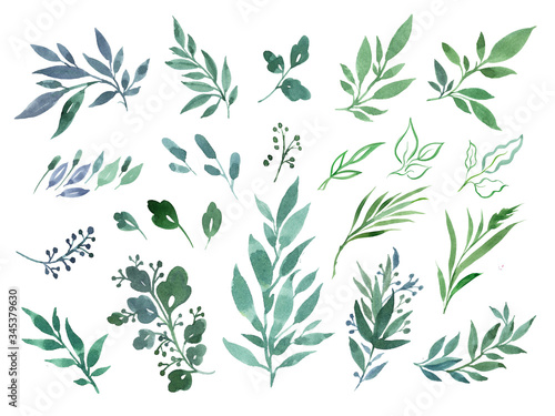 Seamless set of watercolor green plants. Delicate twigs and leaves on a white isolated background. Field of grass. Set with wild plants.