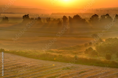 Dawn over the field