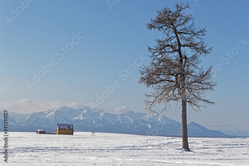 Mongolian winter landscape with a lonely tree and far mountains