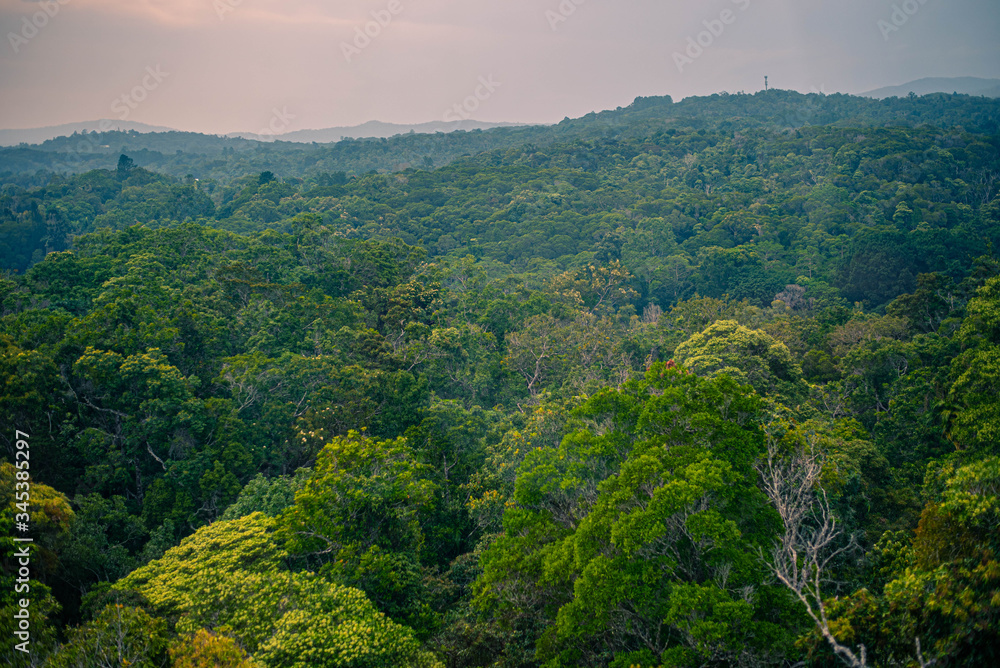 Fototapeta premium naturaleza