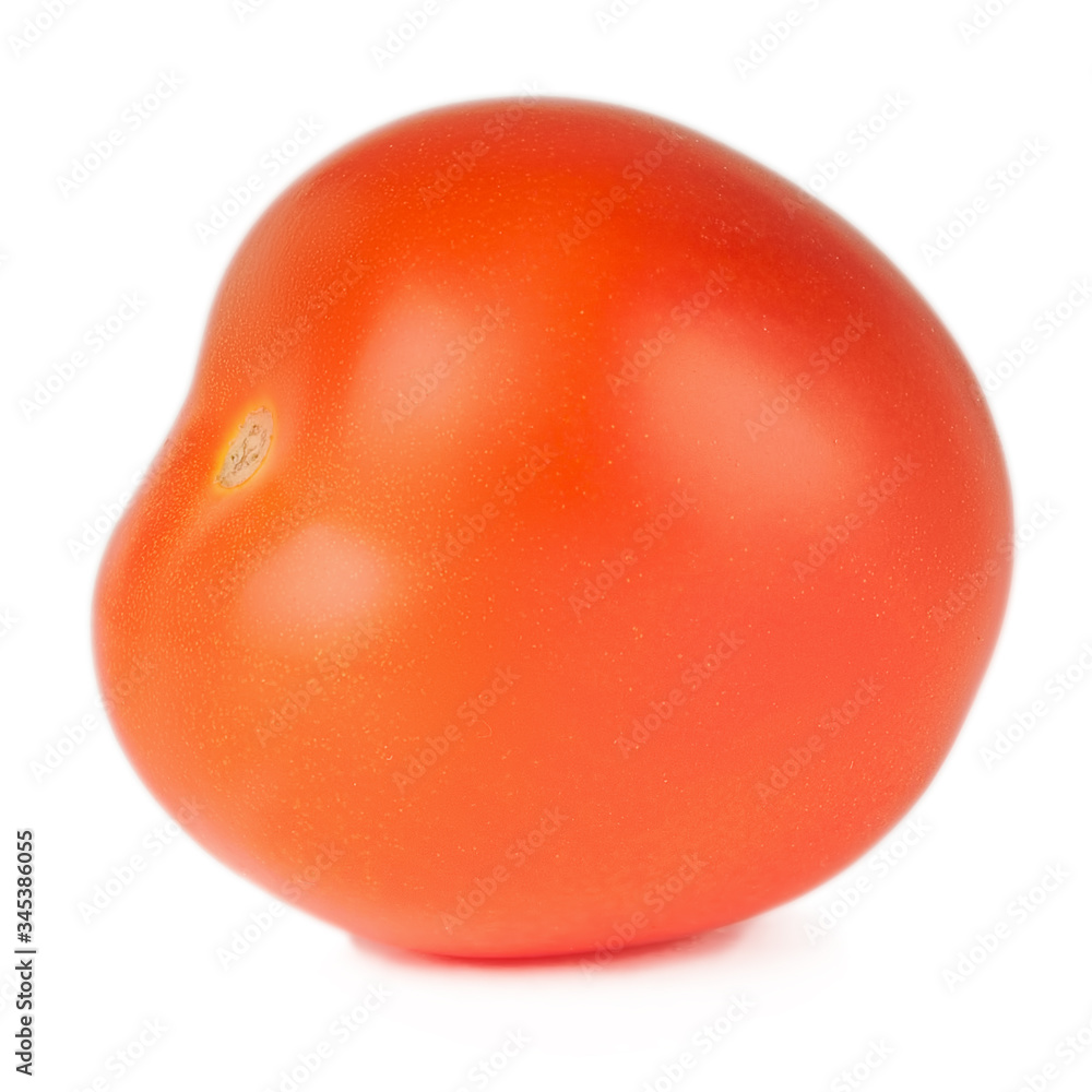 Tomato solanaceous garden plant isolated on a white background. Tomato solanaceous garden plant isolated on a white background.