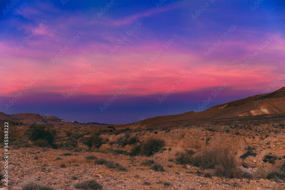 Incredible purple sunset in the Negev desert in Israel. Sunset with notes of pink, blue and dark blue. Yellow sand with bushes. Hiking in Israel. Desert wildlife. Postcard, wallpaper