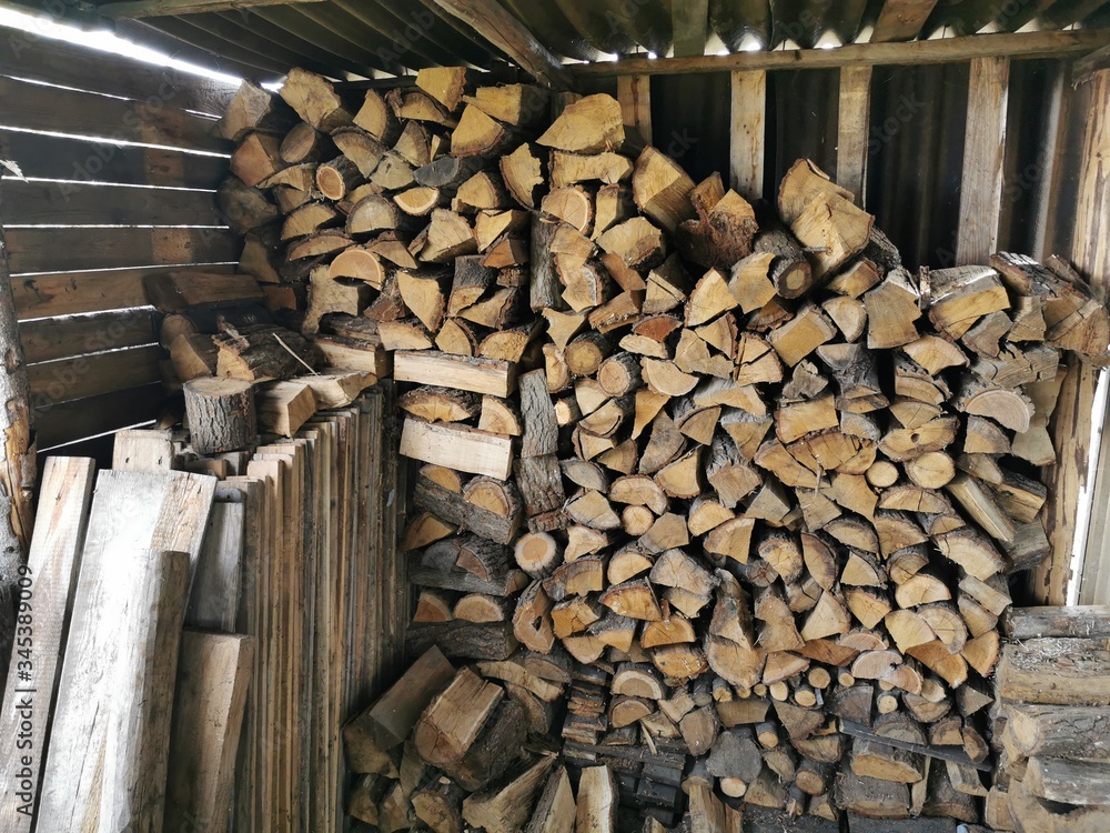 Fototapeta premium Drewutnia