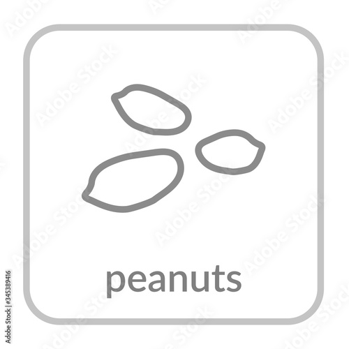 Peanut seed icon. Groundnut outline flat sign, isolated white background. Symbol health nutrition, eco food protein. Contour linear shape. Sweet nutritious organic. Cartoon design. Vector illustration
