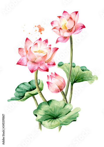 Bouquet of beautiful pink Lotus flowers with green leaves. Hand drawn botanical watercolor illustration, isolated on white background
