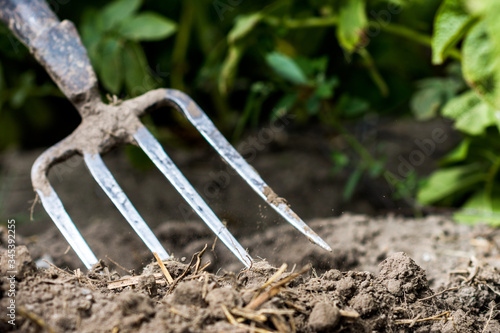 Photo Pitchfork in the garden, in the soil in farmland, agriculture tool, work concept