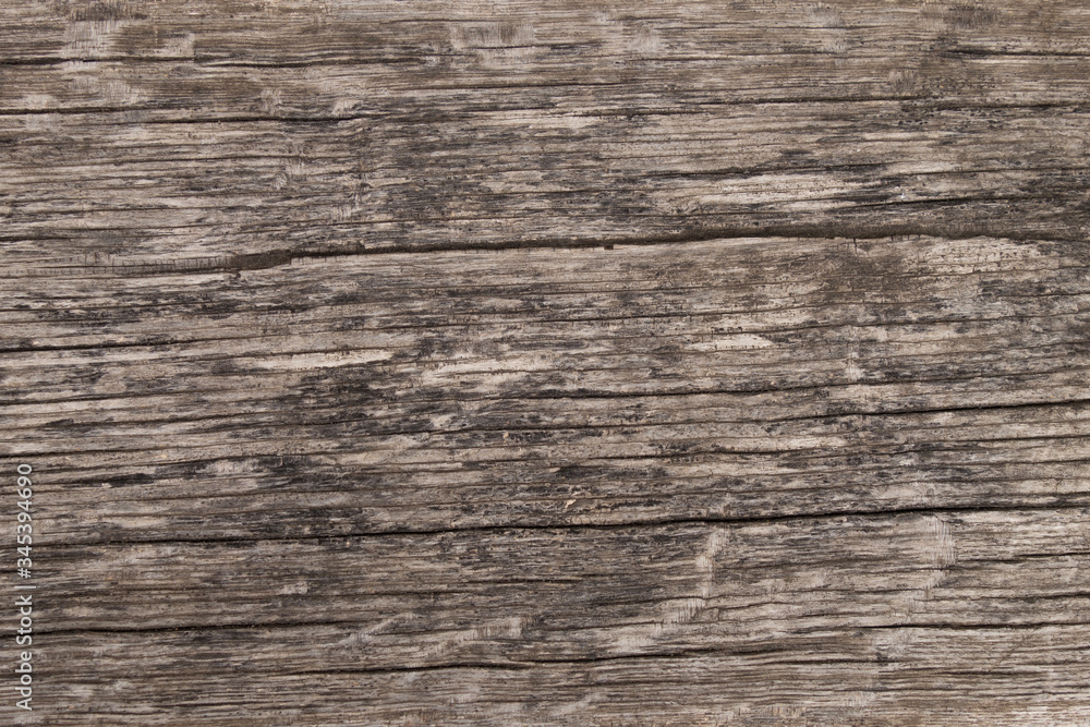 The texture of natural wood. Very old weathered pine surface. Creative vintage background. The texture of natural wood. Very old weathered pine surface. Creative vintage background.