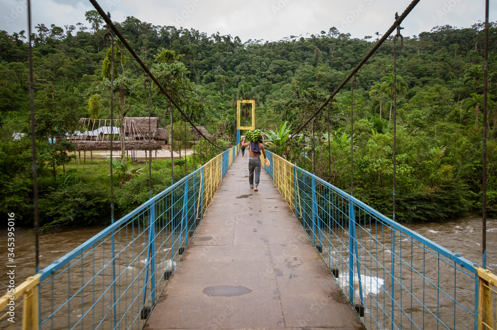 Obraz premium amazonia ecuatoriana puente movil