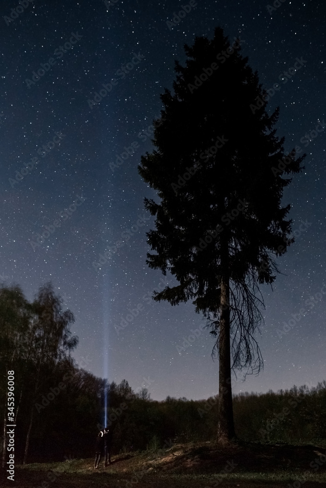 Couple in love standing near the high pine under the starry sky