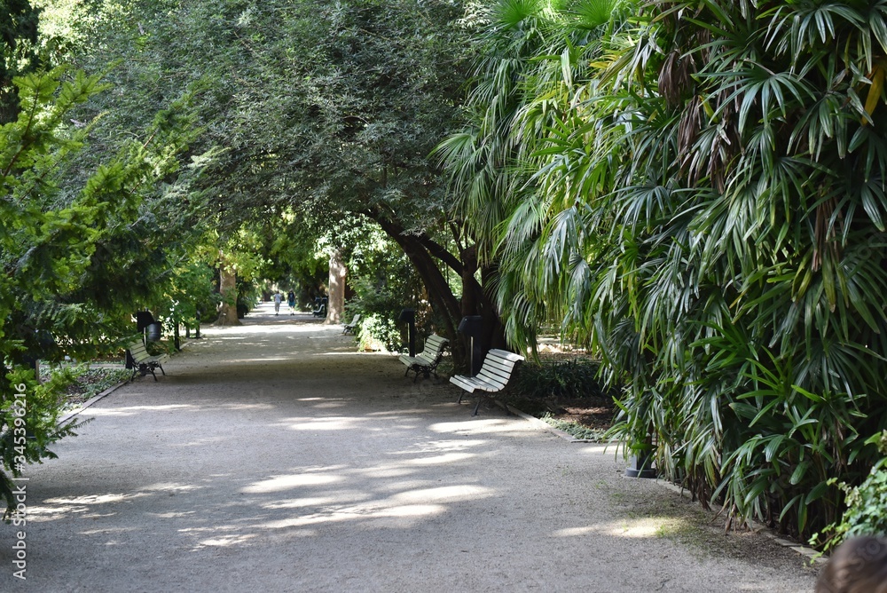 Walking road in tropical park with benches 