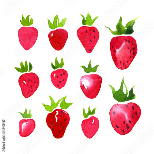 Fototapeta Naklejka Na Ścianę i Meble -  Watercolor red strawberry set. Hand drawn sketch illustration of wild strawberries on white background
