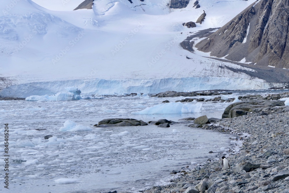 Stone beach landscape with glacier front and mountains and in Antarctica