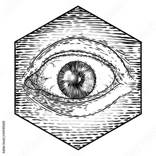 Eye of Providence or All seeing eye. Masonic symbol. New world order sacred religion symbol and spiritual occultism. Occulture vector.