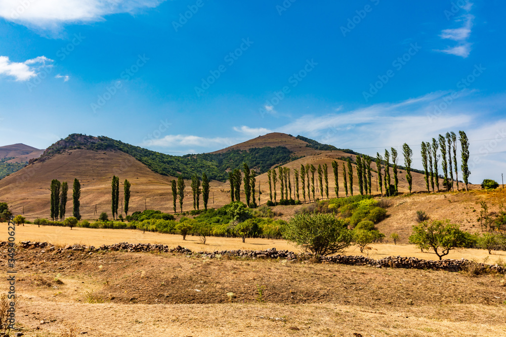 Ardvi Poplar tree landscape landmark Lorri Armenia eastern Europe Ardvi Poplar tree landscape landmark Lorri Armenia eastern Europe