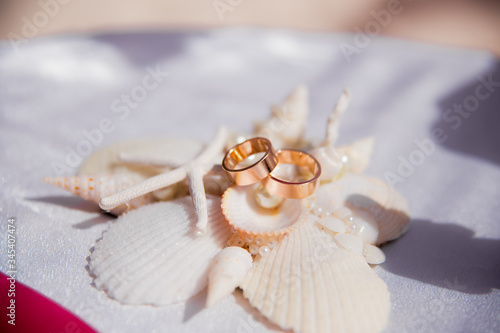 Fotografie Wedding rings close up decorated nautical with accessories for tropical wedding