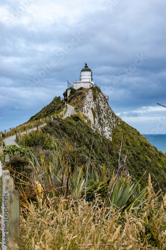 Nugget point, New Zealand photo