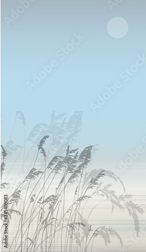 Vector background with silhouette reeds backwater.