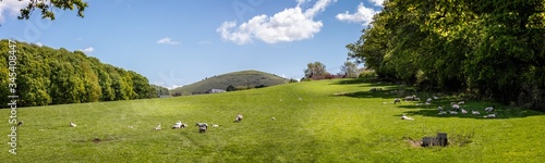 Beautiful English landscape panorama in spring with sheep in field and hill in background