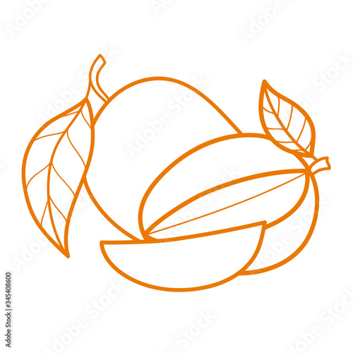 Linear drawing mango isolated on white background. Sketch for coloring booking page. Vector illustration