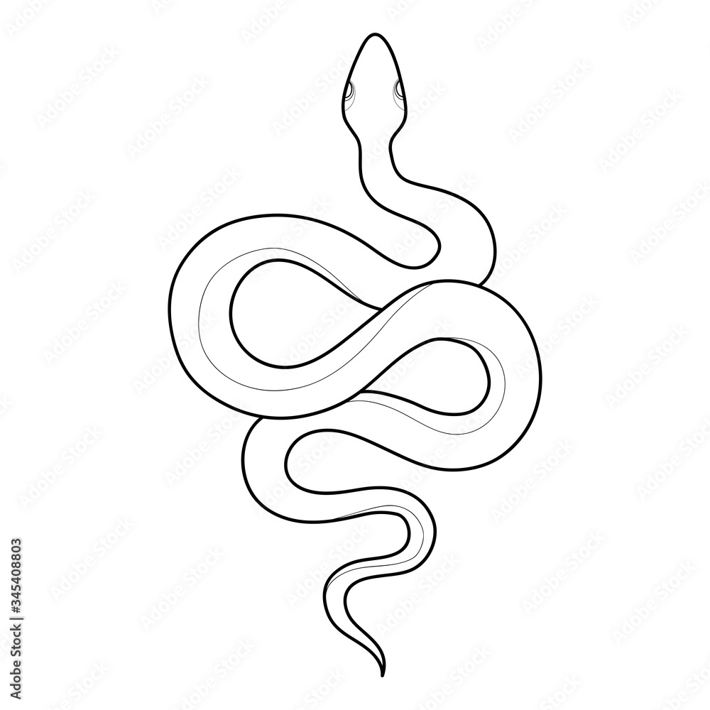 Hand drawing outline snake. Tattoo snake for Henna drawing and tattoo  template. Vector illustration Stock Vector | Adobe Stock