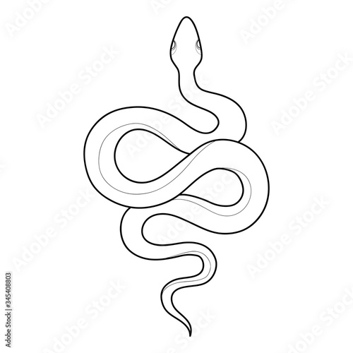Hand drawing outline snake. Tattoo snake for Henna drawing and tattoo template. Vector illustration