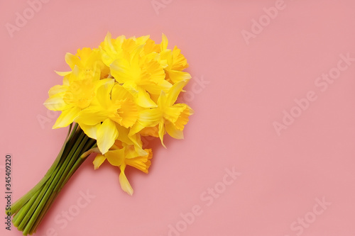 bouquet of yellow nartsys on a pink background