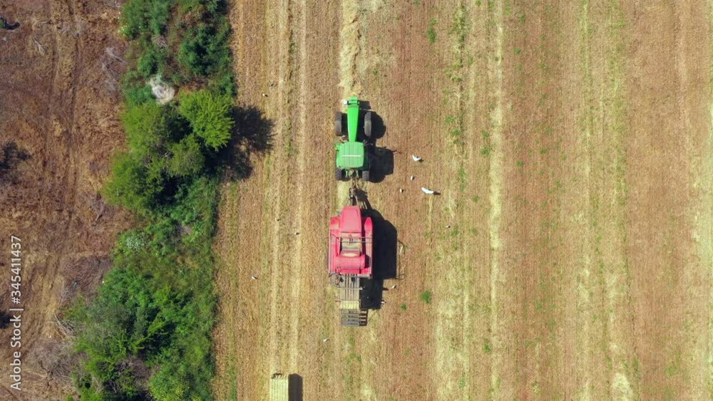 Baler discharging a Hay Bale with a massive flock of white birds following, Aerial follow footage. Baler discharging a Hay Bale with a massive flock of white birds following, Aerial follow footage.