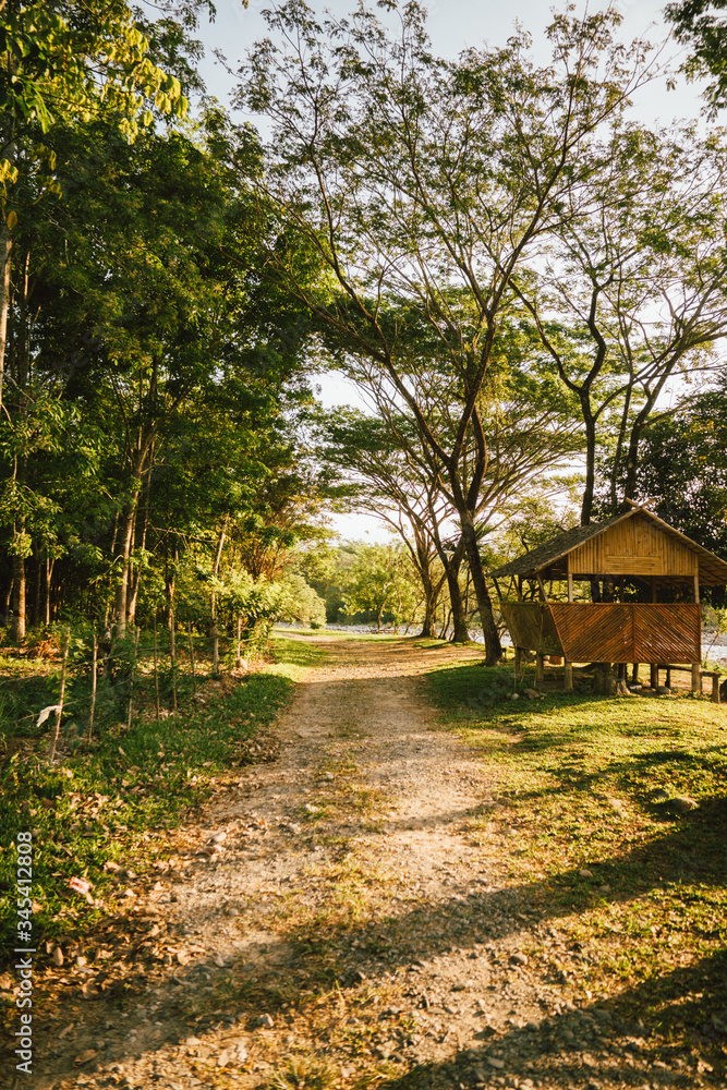 Malaysia, 3 May 2020 - Rural alley view during summer